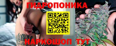 гидропоника Мариинск