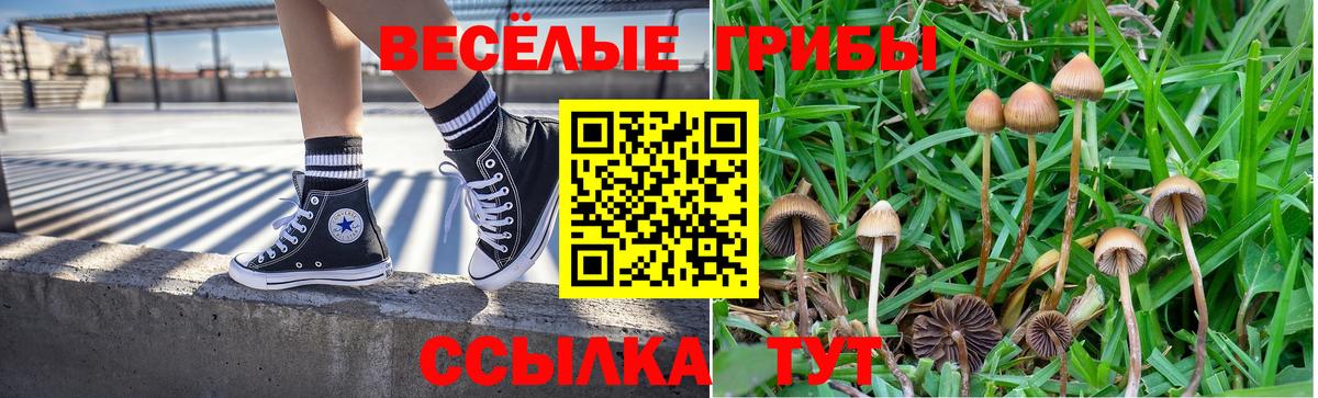 Великий Новгород  Галлюциногенные грибы прущие грибы  Вход с VPN 