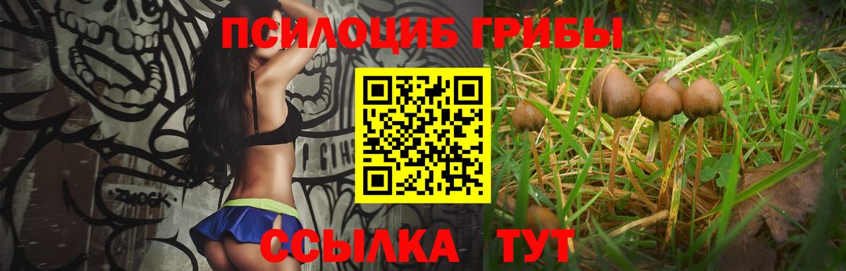 Галлюциногенные грибы Psilocybine cubensis Великий Новгород