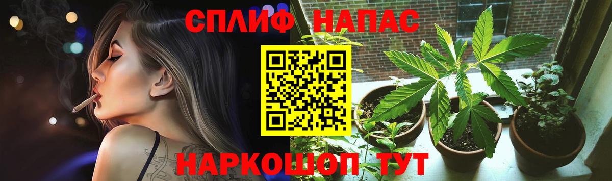 Бошки марихуана конопля Великий Новгород